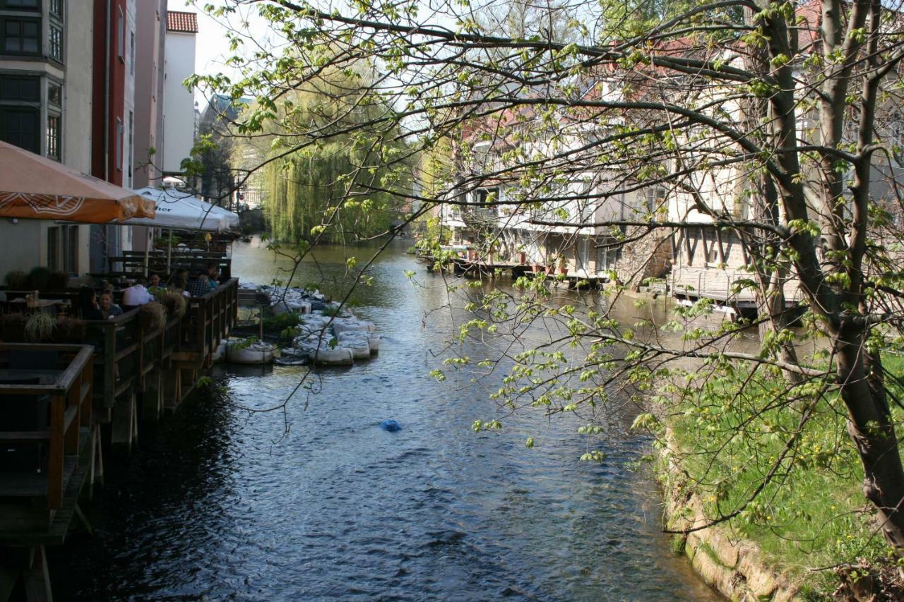 Am Puls Der Altstadt Erfurt Exterior foto